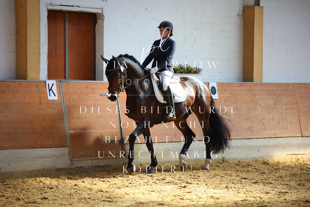 IMGT6891 | pl-fotografie