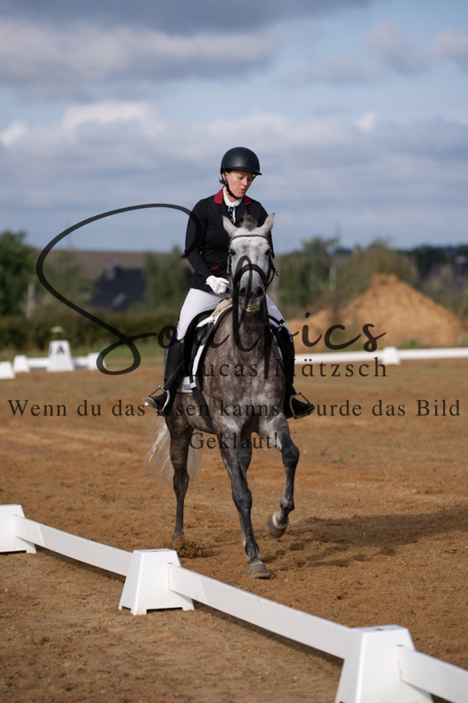 A7V03750 | Pferdefotograf