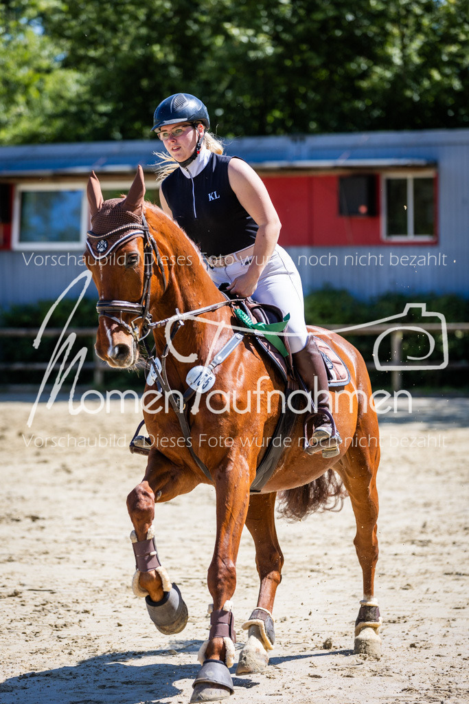 Donop24-ASprmstA-126 | MomenTaufnahmen Pferdesportfotos