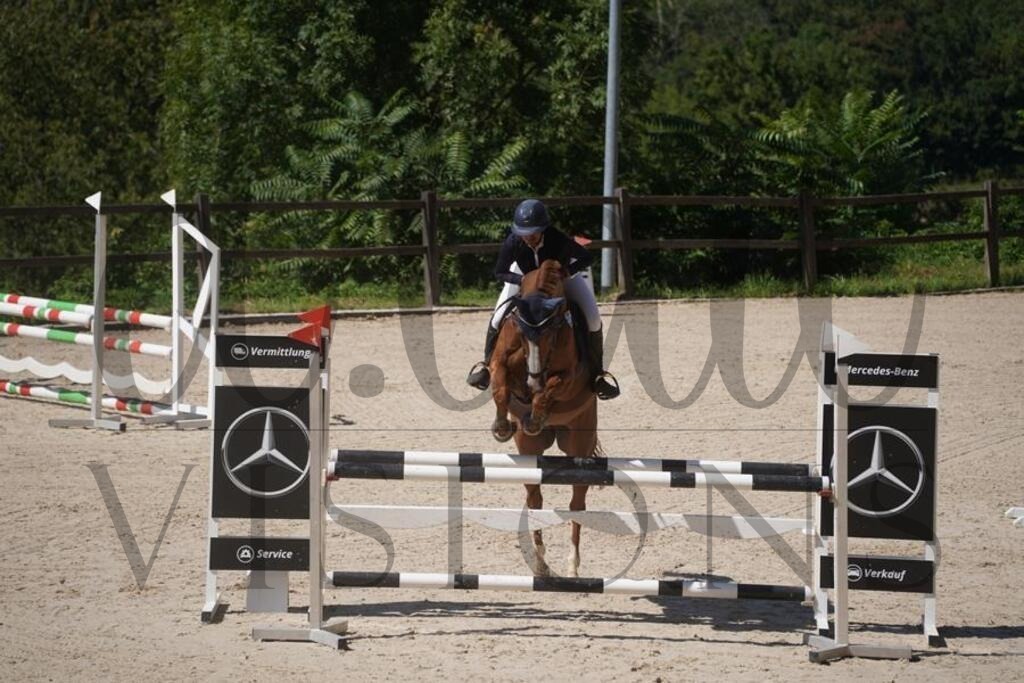 tgbhsonntag (631) | d.tail Visions - Shop - Realisiert mit Pictrs.com