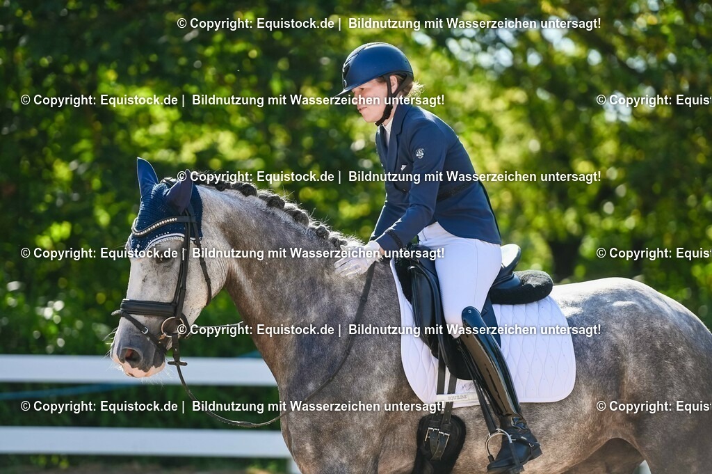 20230715_06_Dressurpferdeprfg. Kl.A_0321 | equistock
