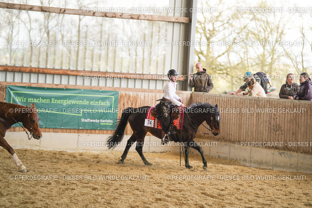 DSC08868 | Pferdegrafie