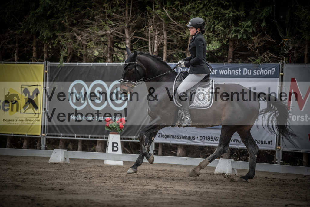 DSC_9298 | equestrian-live-com
