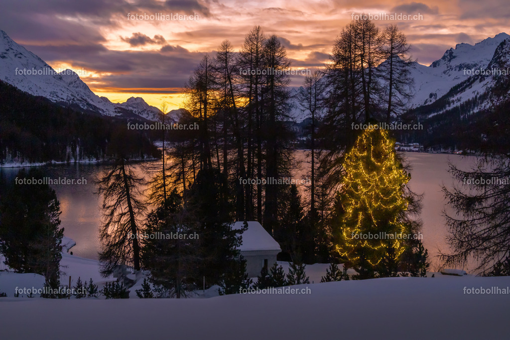 IMG_5146 | Foto Bollhalder 