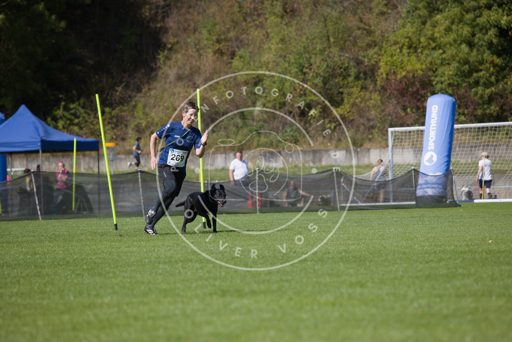 0L8A6614 | Hundefotografie, Tierfotograf, Pfotenfotografie, Fotoshooting Hund, Hunde Portrait, Hundesport, Hundeportraits, Heideshooting, Hunde, Sportfotograf, Hundefotograf, Turnierhundsport, THS,  - Realisiert mit Pictrs.com