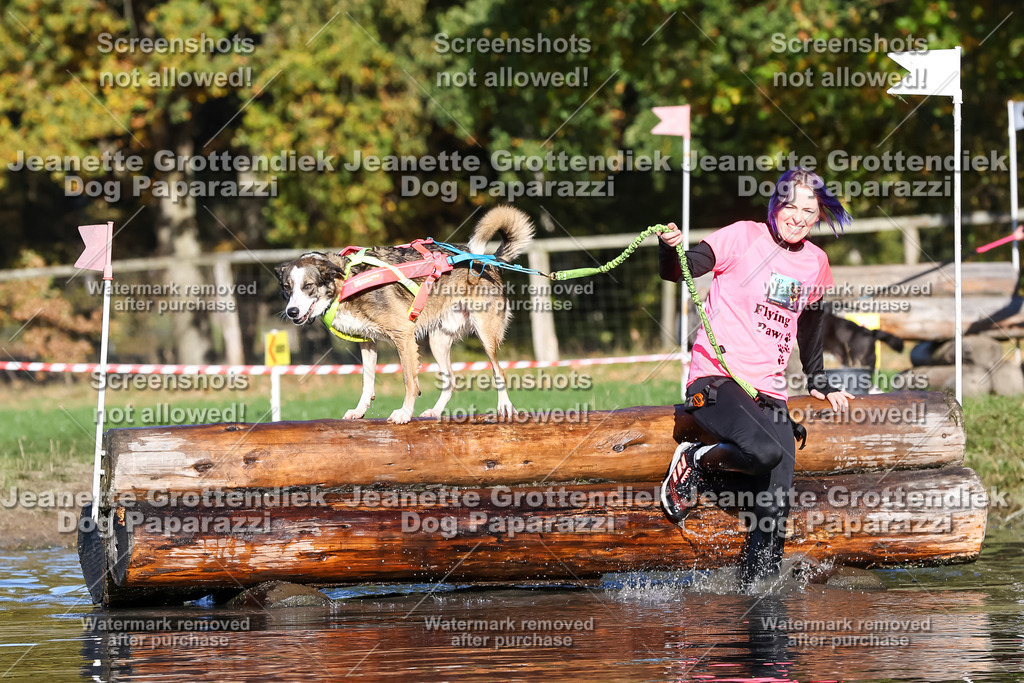 Dog Paparazzi - Strongdog 10-25-8808 | Dog Paparazzi Jeanette Grottendiek Fotografie & Videografie - Realisiert mit Pictrs.com