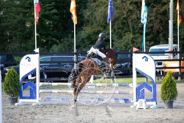 2B4A3966 | pixelfaenger - Realisiert mit Pictrs.com