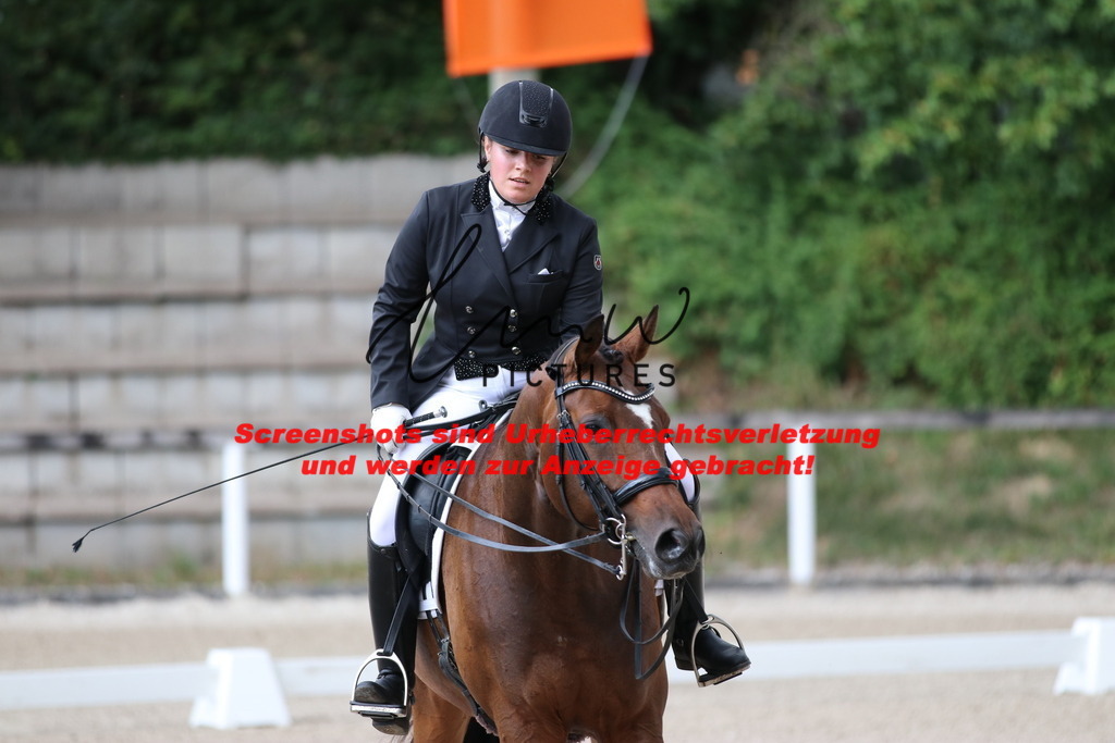 IMG_9656 | lmwpictures - Realisiert mit Pictrs.com