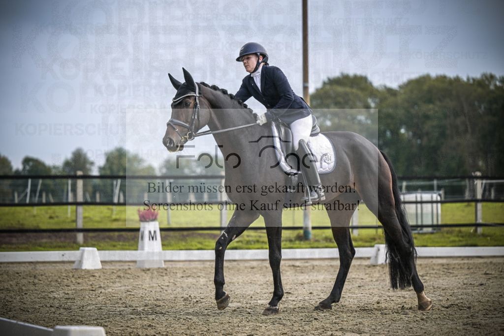 DOS_B244 | Entdecke hochwertige Reitturnierfotos von Foto Oger. Professionell, emotional und authentisch – jetzt Lieblingsmomente im Shop bestellen.Deutschlandweite Turnierfotografie. - Realisiert mit Pictrs.com