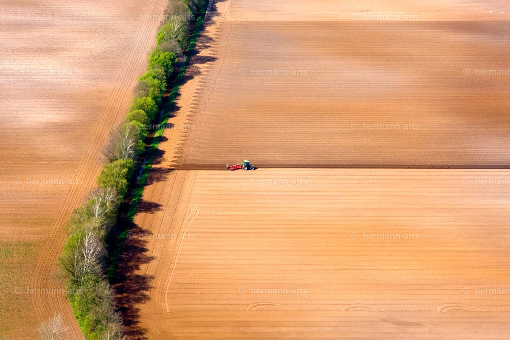 Nature-Arts-035 | Photo Foto Kunst Art schwarzweiss Bilder Rheine Münster Berlin Blumen 