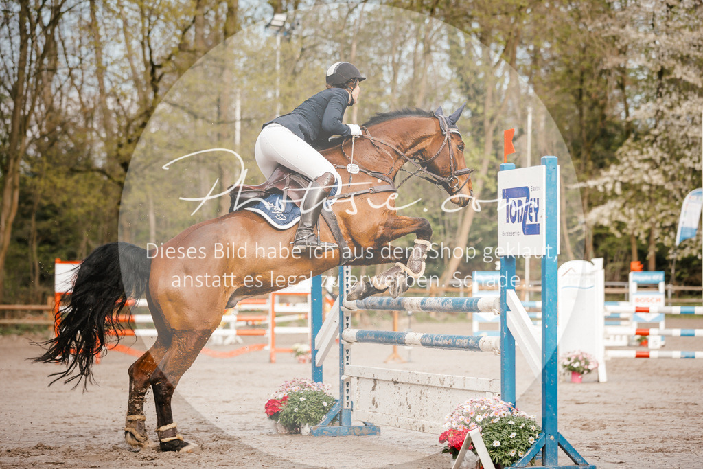 3I6A3301 | Stimmungsvolle Portraits und Reitsportfotografie im Ruhrgebiet und im Münsterland.

Pferdefotografie, Hundefotografie, Tierfotografie, Reportagen, Portraits von Tier und Mensch, Turnierfotografie in Bochum, Recklinghausen, Marl, Haltern am See, Dülmen.. - Realisiert mit Pictrs.com