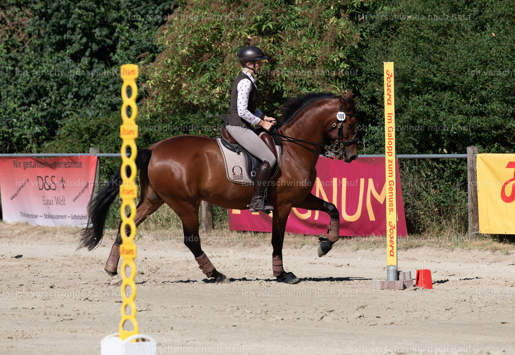 WL_Speed_106_KerstinBernhardt-2 | working equitationturnier fotograf videograf stoibphotography marixx film working equitation deutschland reitsport turnierfotografie eventfotografie equestrian events