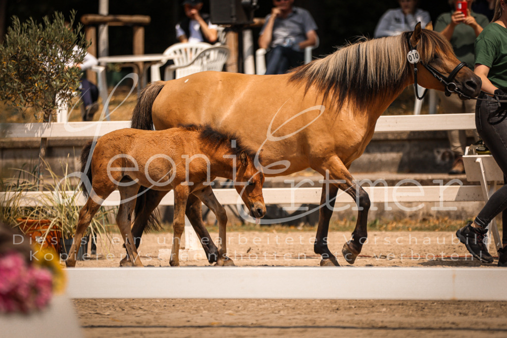 02.DoSR00084 | Leoni Ertmer Photography - Realisiert mit Pictrs.com