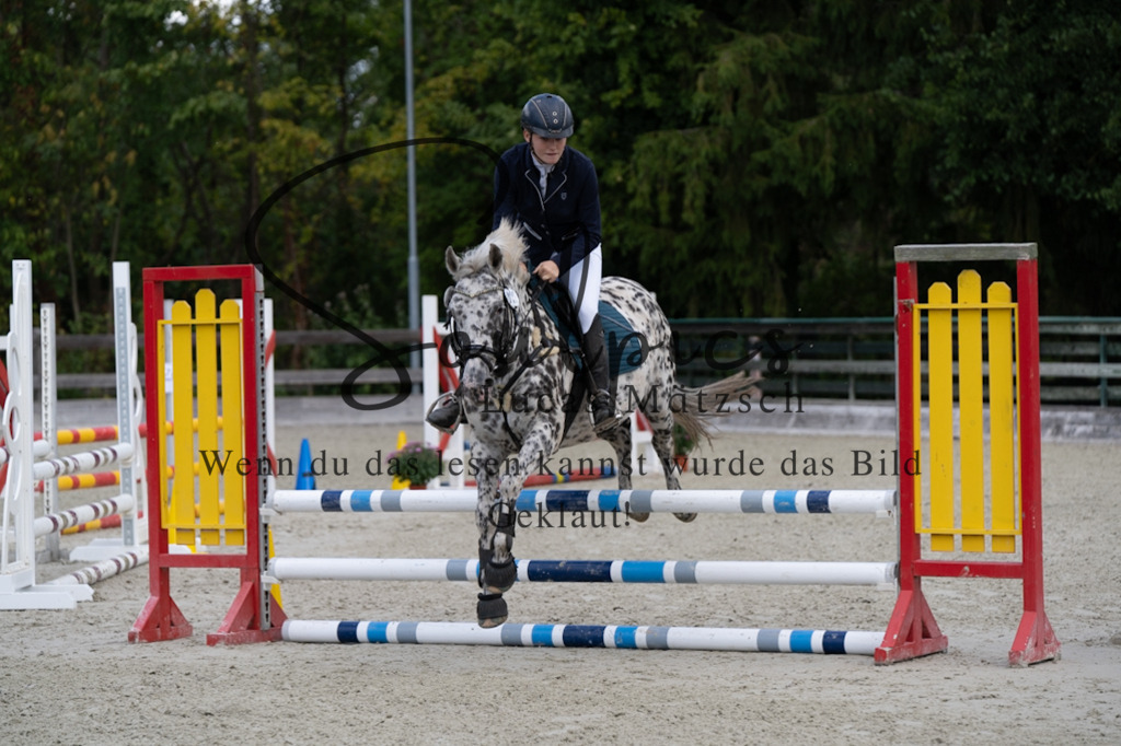 A7V07308 | Turnier/Reitfotograf