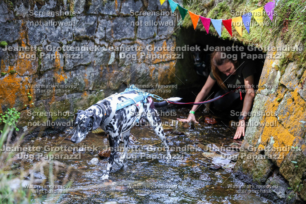 Dog Paparazzi -  TH 26-525 | Dog Paparazzi Jeanette Grottendiek Fotografie & Videografie - Realisiert mit Pictrs.com