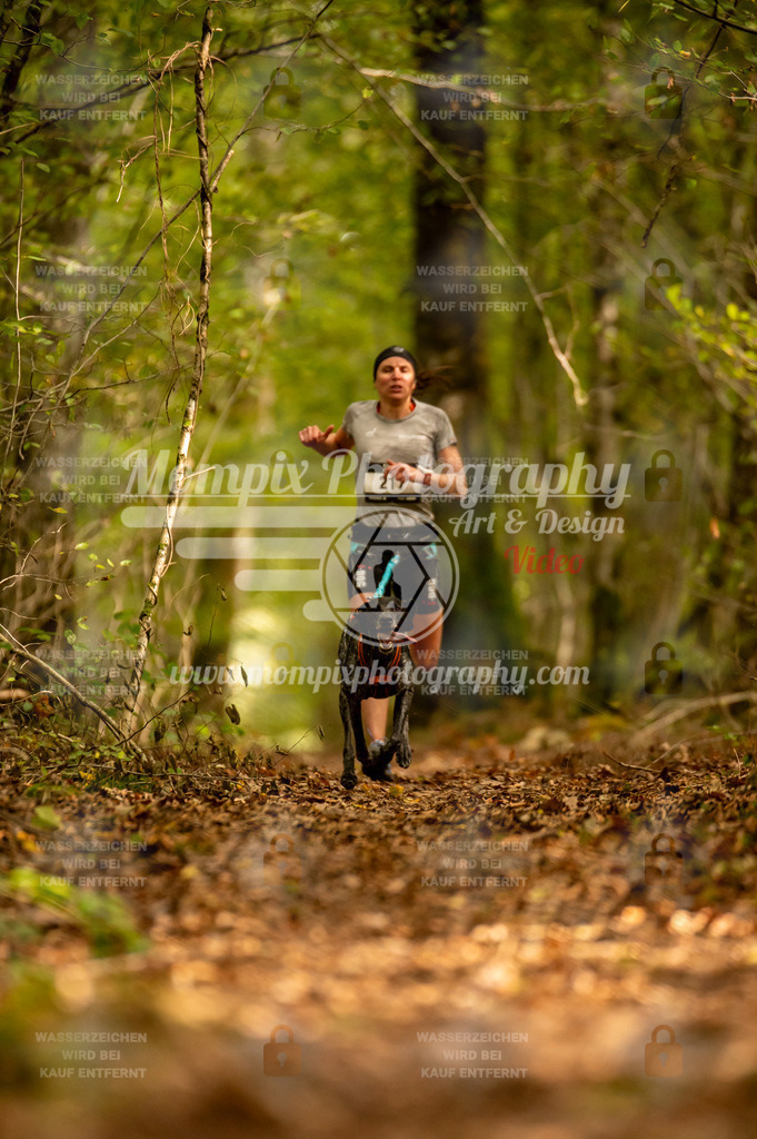 TSB_2023_E1_Canicross-9 | PayLife