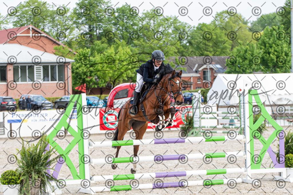 KPT_7993 | andre_photographic