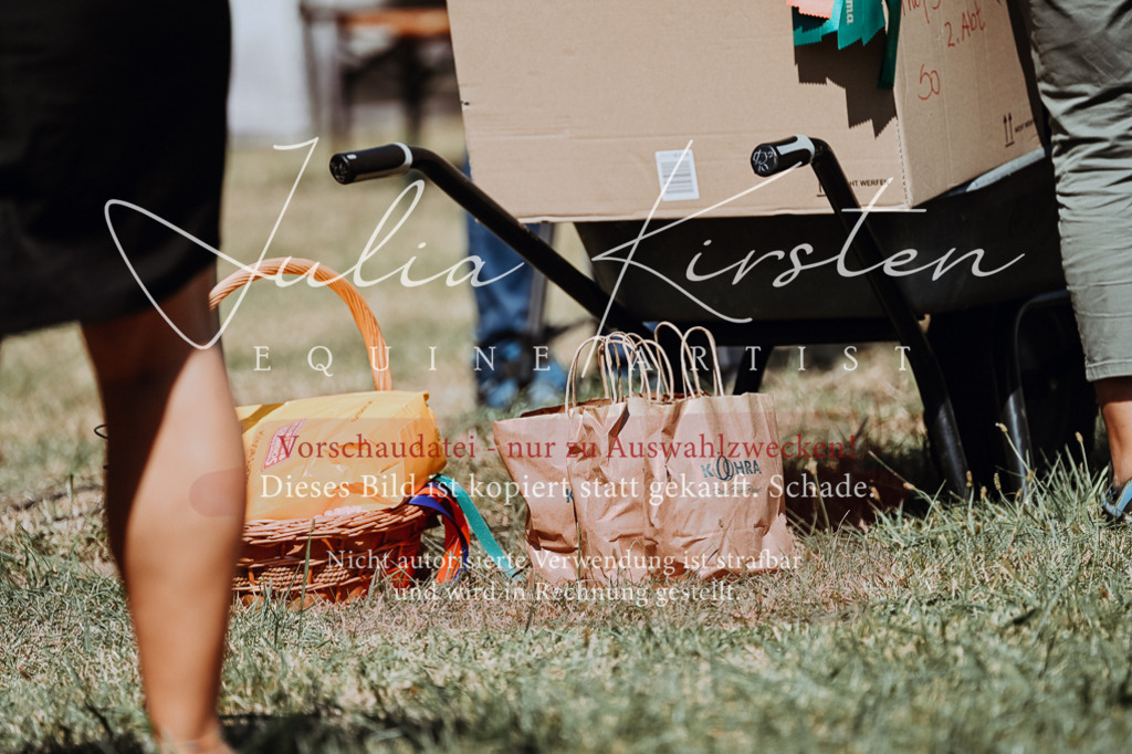 DSC_0072 | Pferde- und Turnierfotografie in Westsachsen. Pferdeportraits, Auftragszeichnungen und intuitive Kunst.