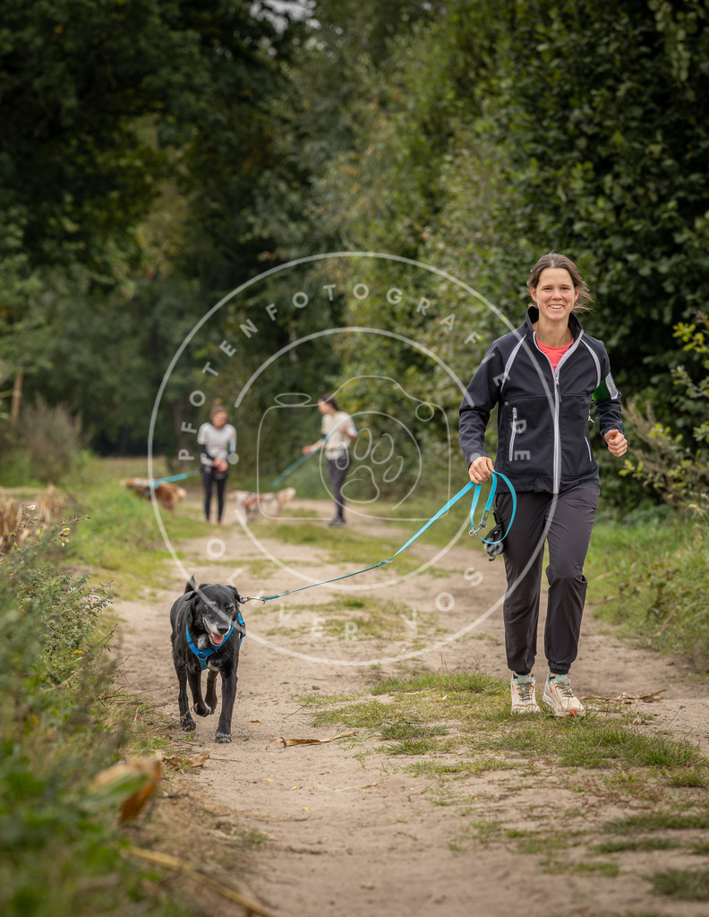 Pfotenfotografie_DV3A8475 | Hundefotografie, Tierfotograf, Pfotenfotografie, Fotoshooting Hund, Hunde Portrait, Hundesport, Hundeportraits, Heideshooting, Hunde, Sportfotograf, Hundefotograf, Turnierhundsport, THS,  - Realisiert mit Pictrs.com