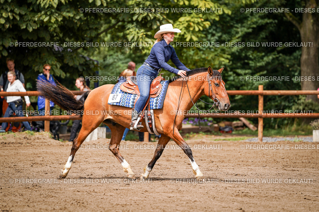 DSC06143 | Pferdegrafie