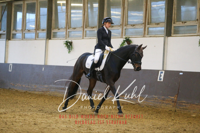 IMG_8148 | Turniersportfotografie; Pferdefotografie; Dressurfotografie