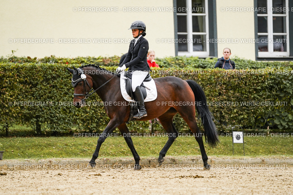 DSC07075 | Pferdegrafie