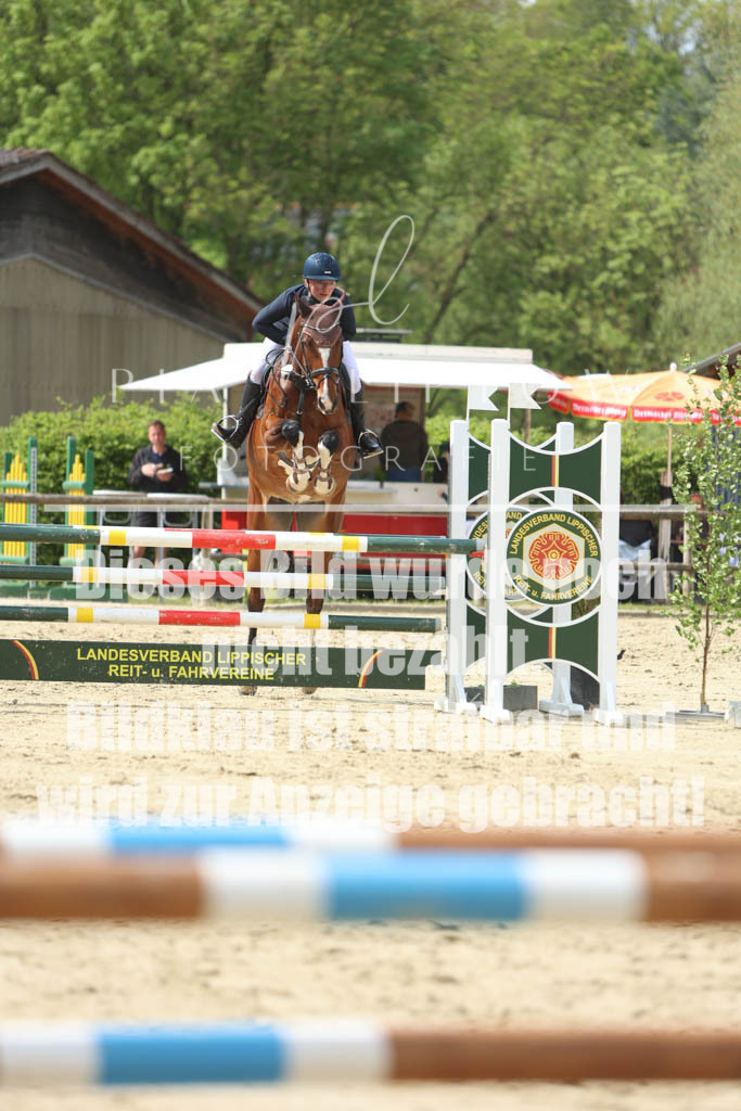 IMGM5770 | pl-fotografie