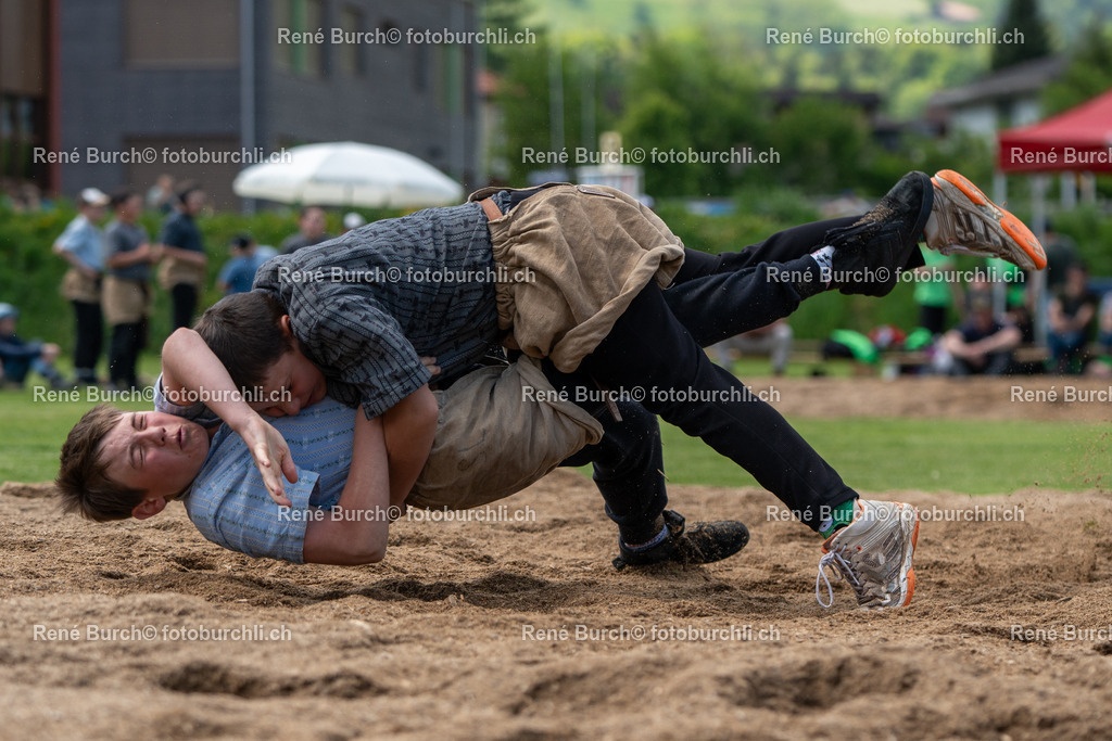 RB-07375 | René Burch leidenschaftlicher Fotograf aus Kerns in Obwalden.  Hier finden sie Sport, Landschaft und Natur Fotografie.
 - Realisiert mit Pictrs.com