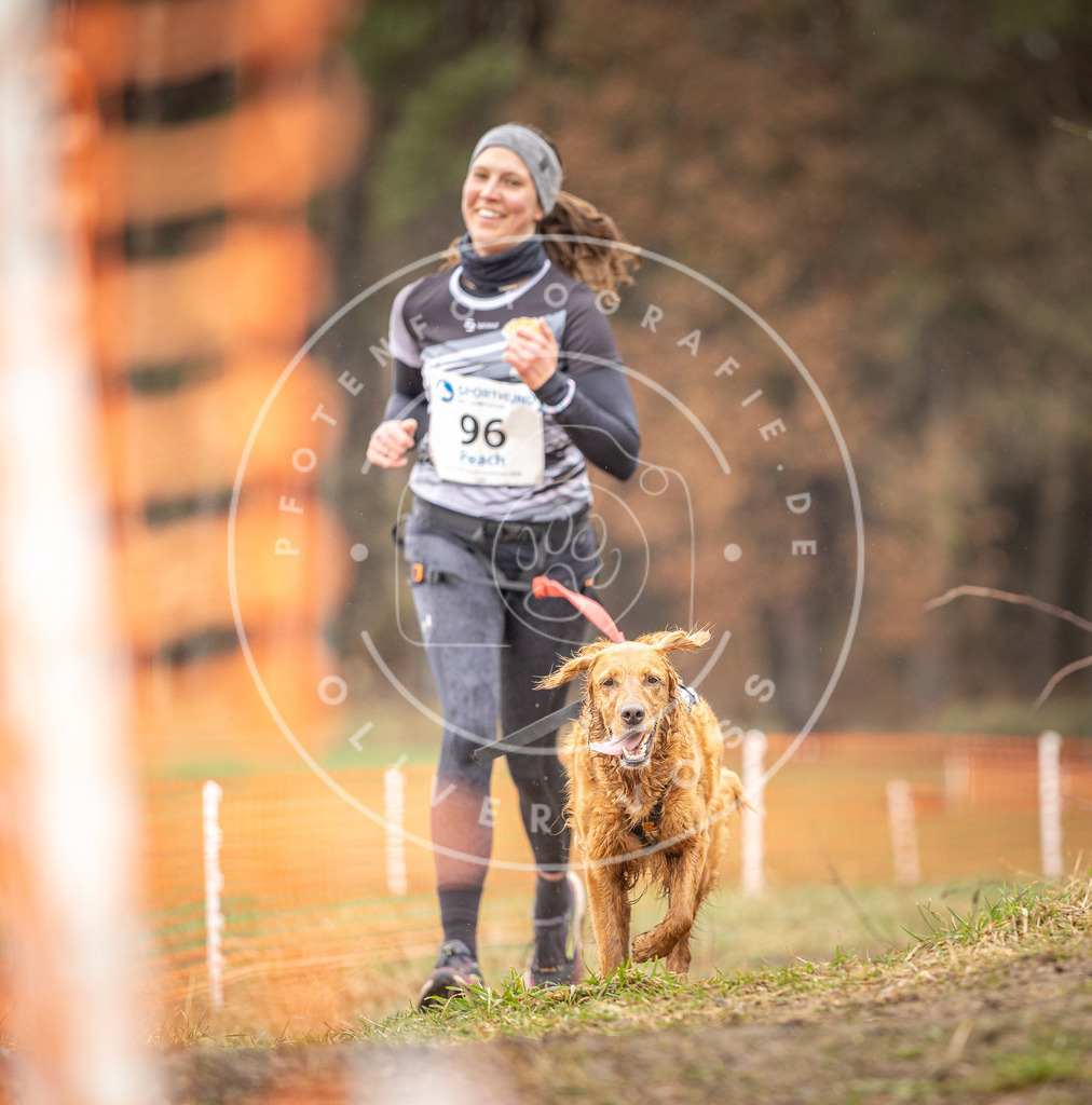 DV3A0548 | Hundefotografie, Tierfotograf, Pfotenfotografie, Fotoshooting Hund, Hunde Portrait, Hundesport, Hundeportraits, Heideshooting, Hunde, Sportfotograf, Hundefotograf, Turnierhundsport, THS,  - Realisiert mit Pictrs.com