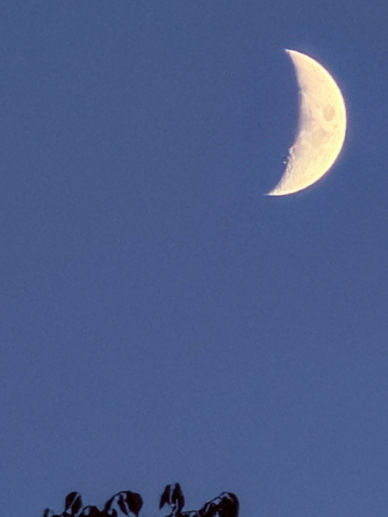 Wandbild Mond Sichel - Modernes Nachthimmel Poster & Fotokunst | Dieses minimalistische Mond Wandbild bringt als hochwertiges Poster oder edler Kunstdruck eine beruhigende, geheimnisvolle Atmosphäre in deine Wohnräume. Die faszinierende Natur-Fotokunst zeigt eine leuchtende Mondsichel im tiefblauen Nachthimmel, bei der man den runden Erdschatten des Mondes auf magische Weise erahnen kann. Als stilvolle Wanddeko passt dieses astronomische Motiv perfekt zu modernen, minimalistischen Einrichtungsstilen im Schlafzimmer, Wohnzimmer oder Büro. Wähle jetzt deine Wunschgröße und dein bevorzugtes Material wie Leinwand, Alu-Dibond oder Acrylglas und bestelle diesen kosmischen Blickfang direkt im Shop zu dir nach Hause! - Realisiert mit Pictrs.com
