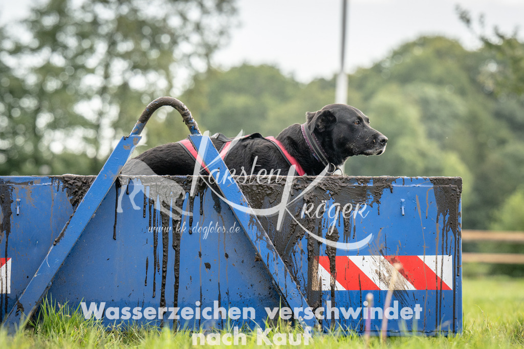 1006_ZZ90614 | kk-dogfotos