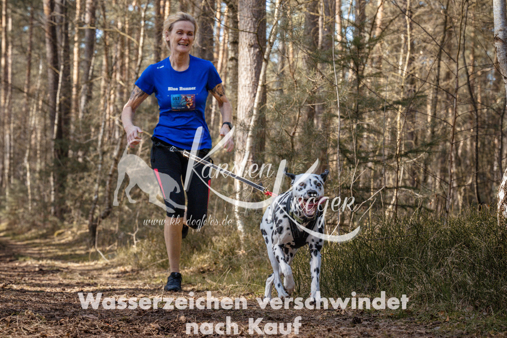 1331_ZZ94627 | kk-dogfotos