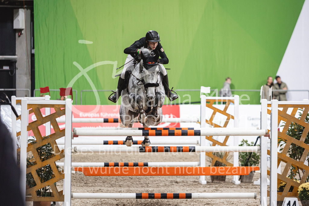 241102_Oldenburg_FinaleWaldbach-132 | Deine schönsten Turniermomente als professionelle Fotos! Entdecke hochwertige Pferdesport-Fotografie im Online-Shop. Jetzt Fotos finden & bestellen!