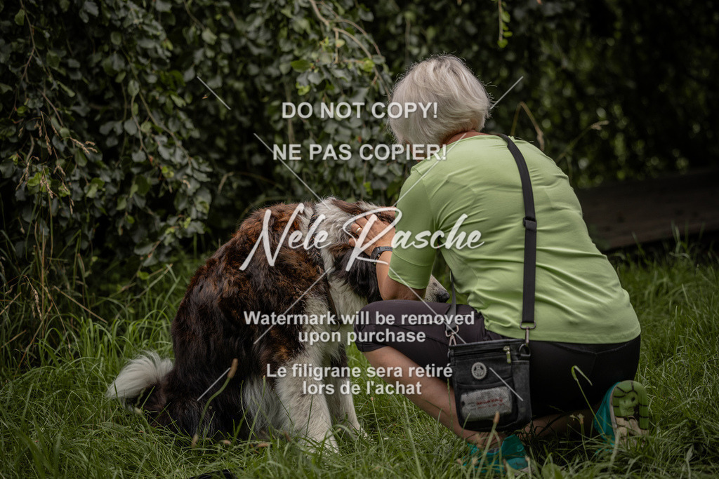 nelerasche_DoN_100 | nelerasche