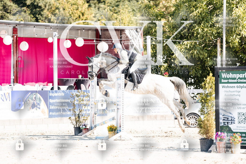CK902557 | Turnierfotografie Pferdefotografie Trier Rheinland-Pfalz Pferdesport Reitsport Tierfotografie Sportfotografie Pferdevideo Pferdevideografie Equestrianvideography equestrianphotography  - Realisiert mit Pictrs.com