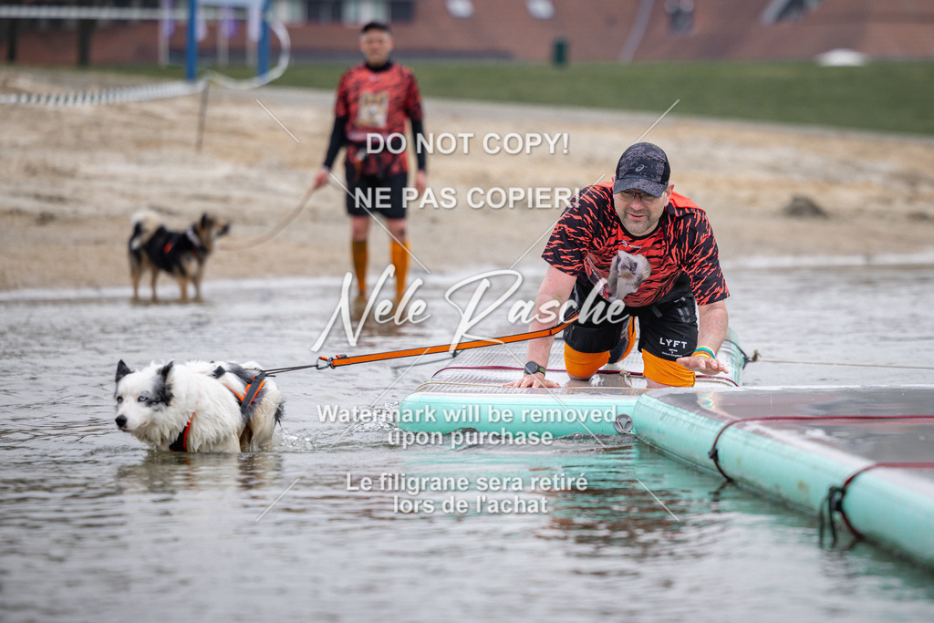 nelerasche_Hulsbeek_Sa1130-1230_483 | nelerasche