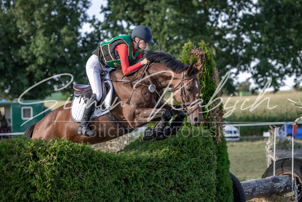 20250907-_3LI4156 | Tierfotografie Pferde, Hunde, Katzen, Haustiere.
Turnierfotografie Reitturniere, Reiten, Springreiten, Dressur in Hanau, dem Main-Kinzig-Kreis und dem Rhein-Main- Gebiet um Frankfurt