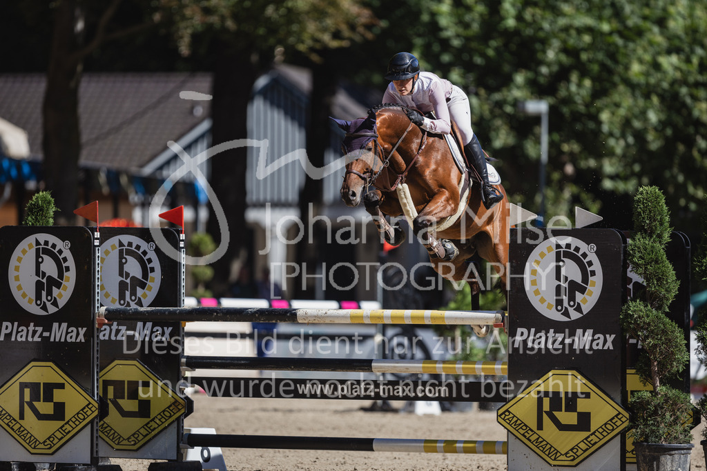 230907_OWLCh_SpringpferdeM-136 | Deine schönsten Turniermomente als professionelle Fotos! Entdecke hochwertige Pferdesport-Fotografie im Online-Shop. Jetzt Fotos finden & bestellen!