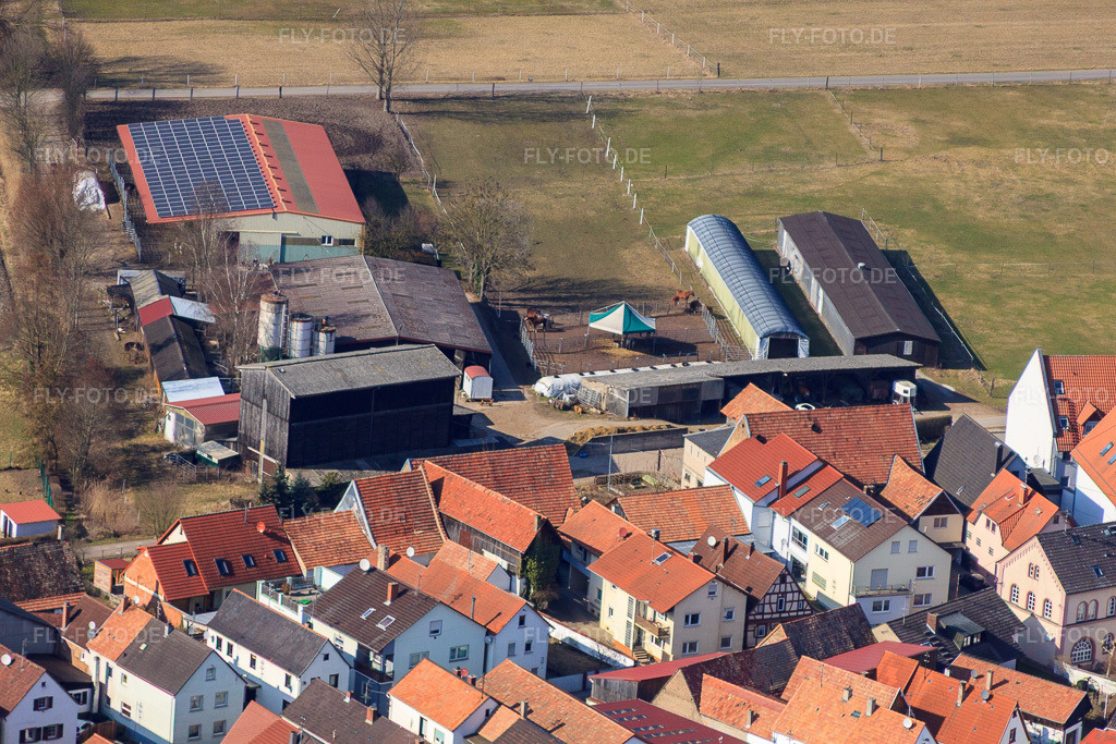 Luftbild: Stallungen am Oberdorf in Rheinzabern im Bundesland Rheinland-Pfalz in Deutschland. Foto: IMG_48936.jpg vom 09.03.2012 durch Werner Riehm/FLY-FOTO.de