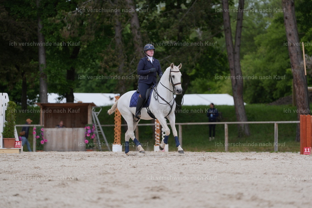 PI26_ST_Jan_Picutures7C_07114.JPG | working equitationturnier fotograf videograf stoibphotography marixx film working equitation deutschland reitsport turnierfotografie eventfotografie equestrian events
