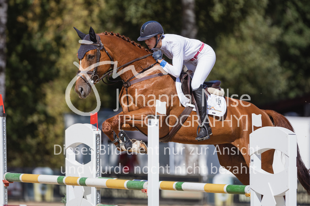 220824_Delbrueck_Stil-M1-220 | Deine schönsten Turniermomente als professionelle Fotos! Entdecke hochwertige Pferdesport-Fotografie im Online-Shop. Jetzt Fotos finden & bestellen!