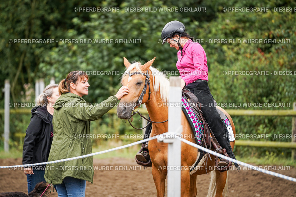 DSC03838 | Pferdegrafie