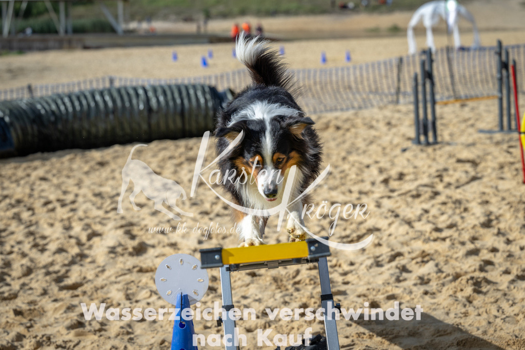 1433_ZZ91582 | kk-dogfotos