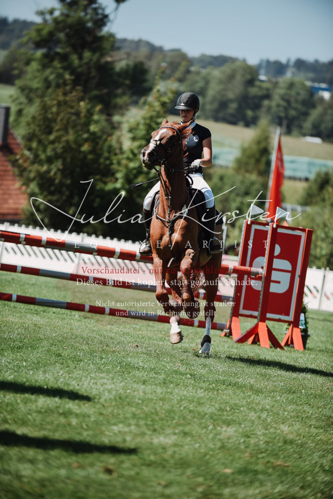 DSC_3104 | Pferde- und Turnierfotografie in Westsachsen. Pferdeportraits, Auftragszeichnungen und intuitive Kunst.