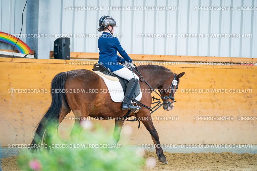 DSC00904 | Pferdegrafie