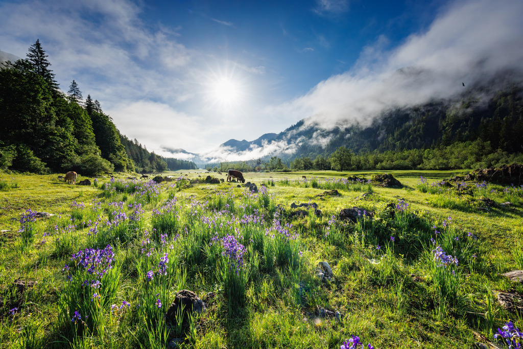 Mittersee Frühling | ap-design // andreas plenk - Realisiert mit Pictrs.com
