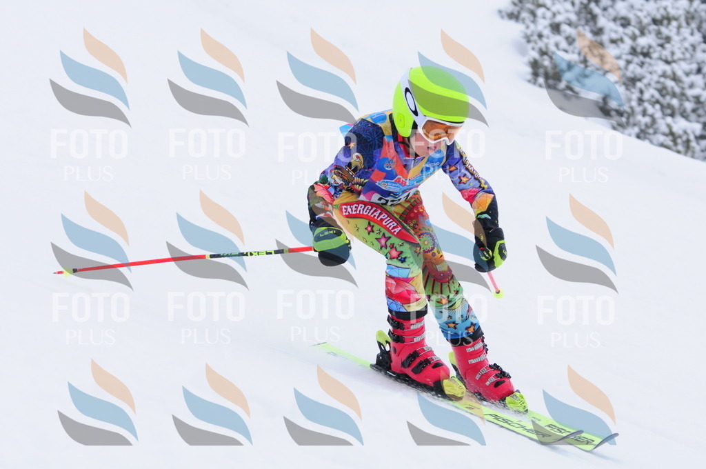 C3415 | holidayphoto