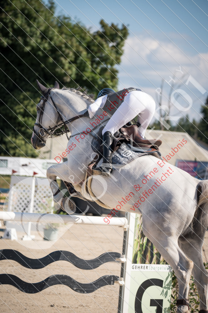 DSC_3906 | Sport-, Event- und Tierfotos in Profiqualität. Einfach auswählen, bestellen und herunterladen. Dein Moment – perfekt festgehalten.