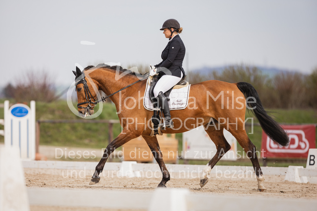 230410_Frühlingsfest_A-Dressur-426 | Deine schönsten Turniermomente als professionelle Fotos! Entdecke hochwertige Pferdesport-Fotografie im Online-Shop. Jetzt Fotos finden & bestellen!