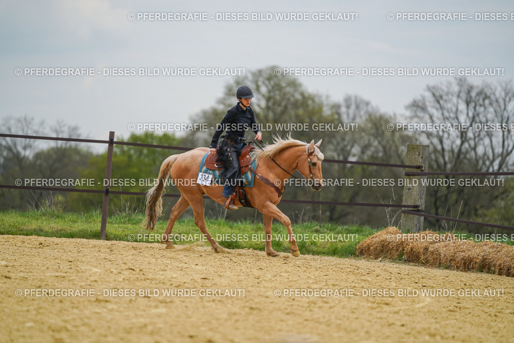 DSC07212 | Pferdegrafie